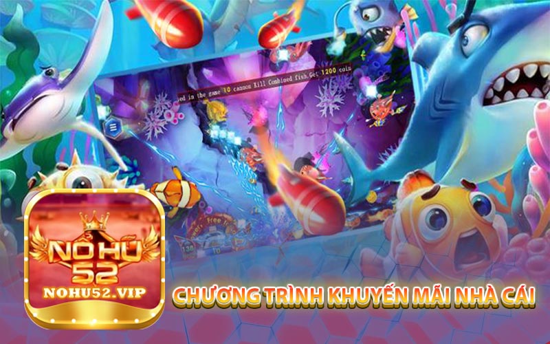 Chương Trình Khuyến Mãi Nhà Cái