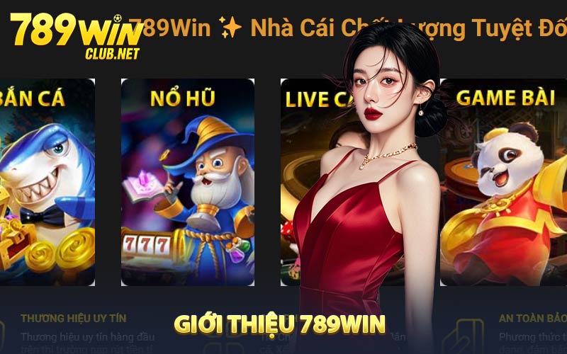Giới Thiệu 789WIN - Điểm Đến Giải Trí Trực Tuyến Hàng Đầu 2026