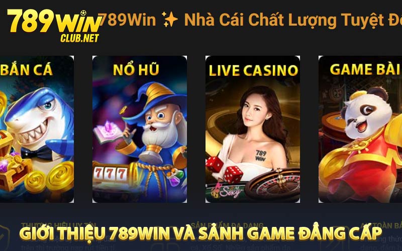 Giới thiệu 789WIN và sảnh game đẳng cấp